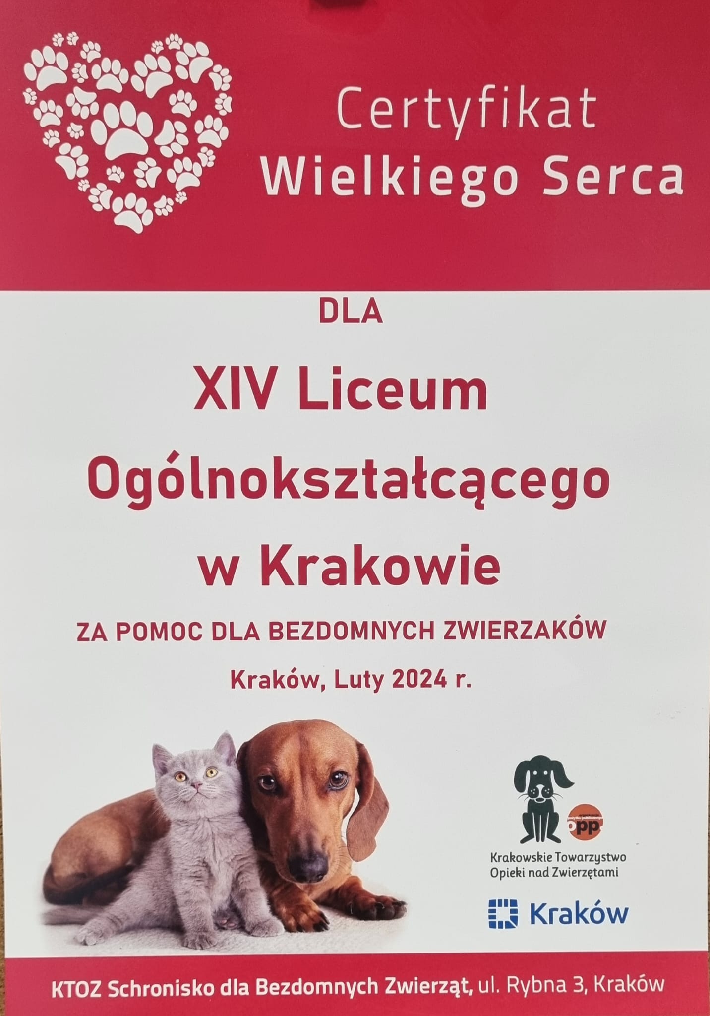 Gwiazdka dla zwierzaka.